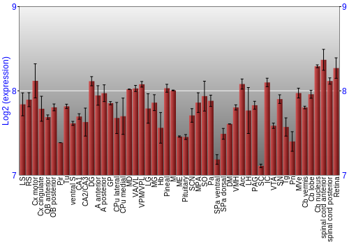 Expression graph