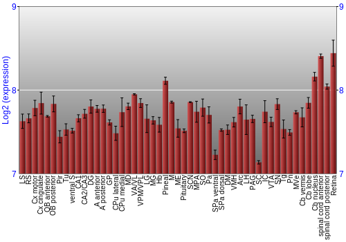 Expression graph