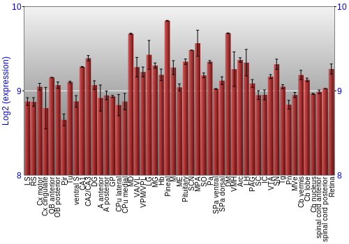 Expression graph
