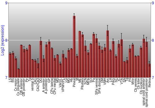Expression graph