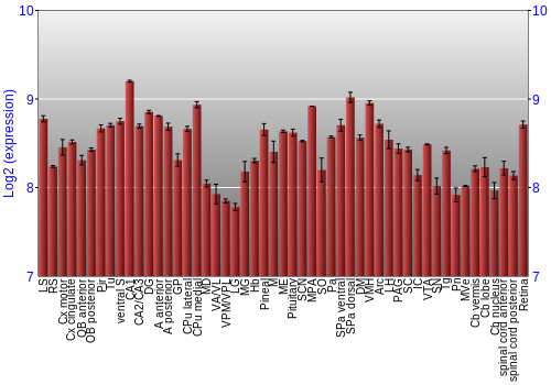 Expression graph