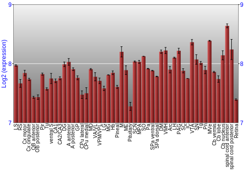 Expression graph