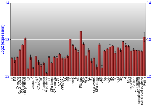 Expression graph