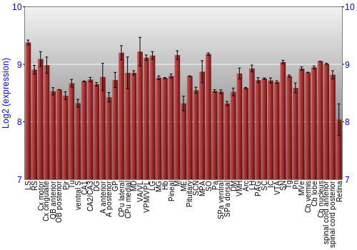 Expression graph