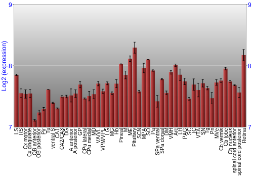 Expression graph