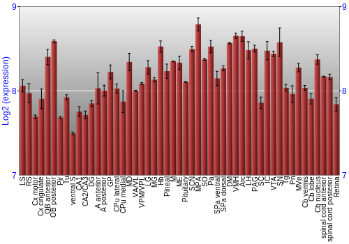 Expression graph