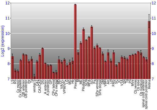Expression graph