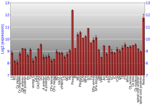 Expression graph
