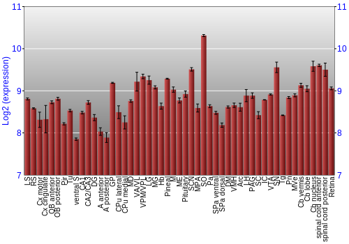 Expression graph