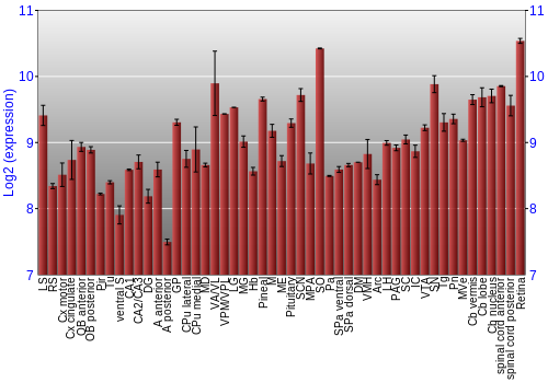 Expression graph