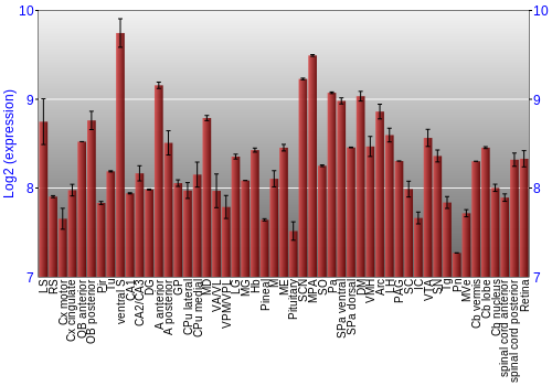 Expression graph