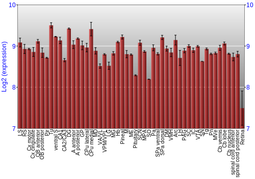 Expression graph