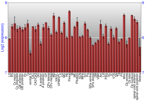 Expression graph