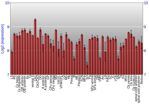 Expression graph
