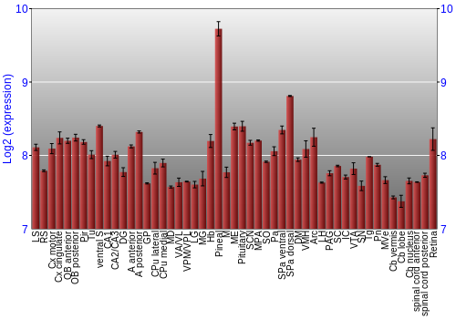 Expression graph
