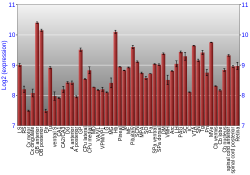 Expression graph