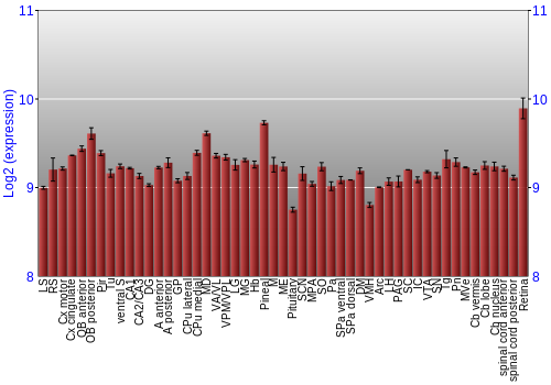 Expression graph