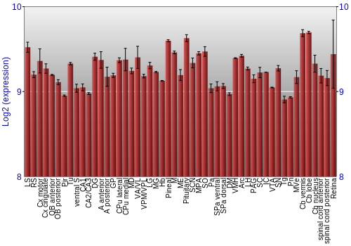 Expression graph