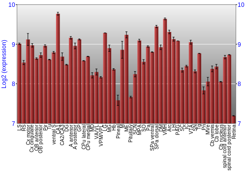 Expression graph