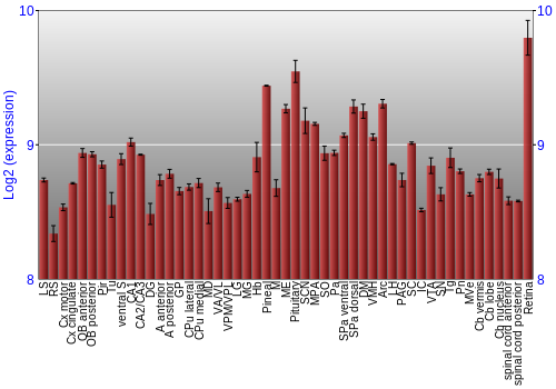 Expression graph