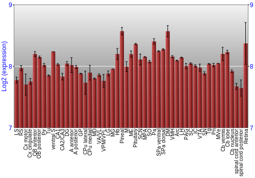 Expression graph