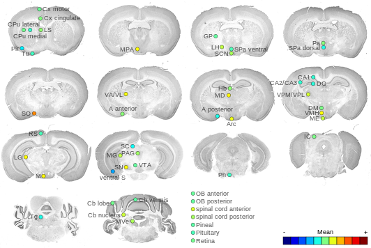 Expression map