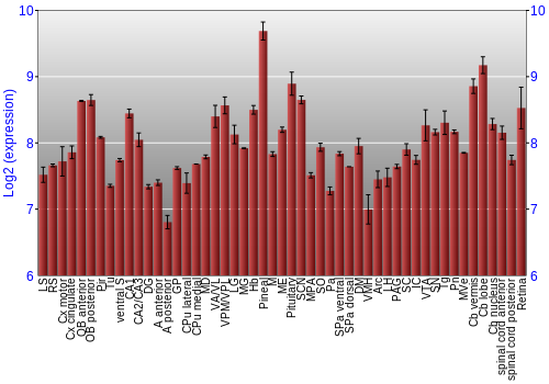 Expression graph
