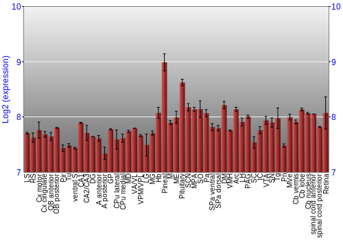 Expression graph