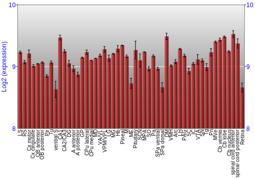 Expression graph