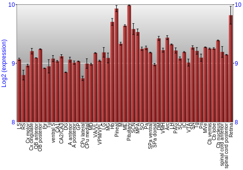 Expression graph