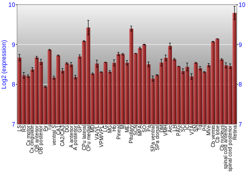 Expression graph