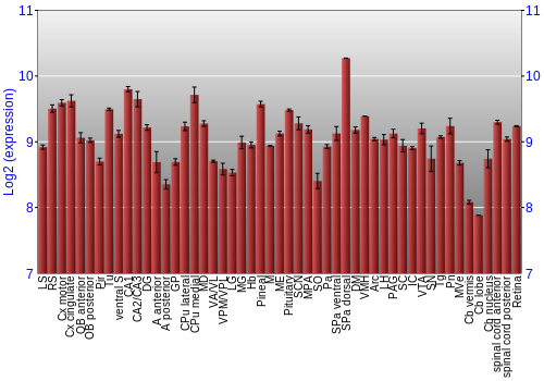 Expression graph