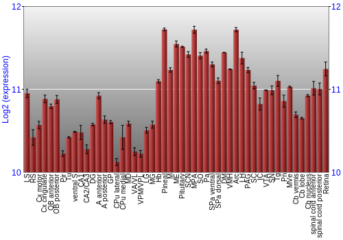 Expression graph