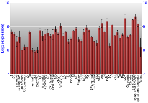Expression graph
