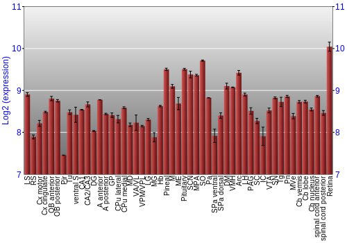 Expression graph