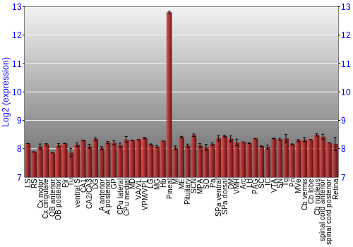 Expression graph