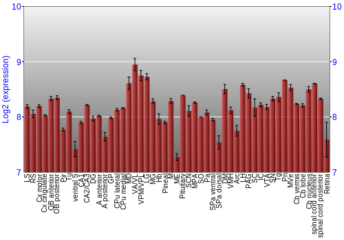 Expression graph