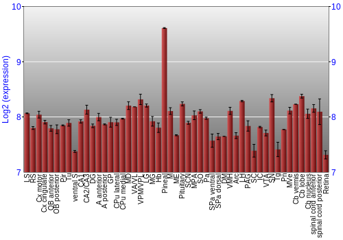 Expression graph