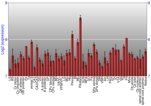 Expression graph