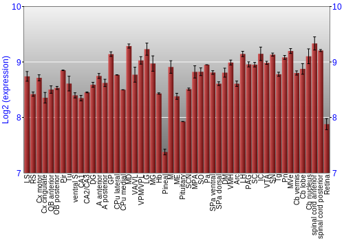 Expression graph