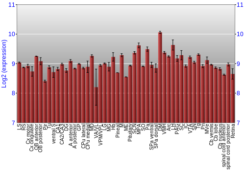 Expression graph
