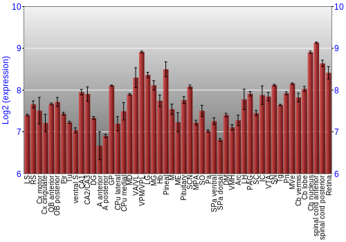 Expression graph