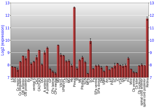 Expression graph