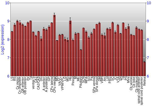 Expression graph