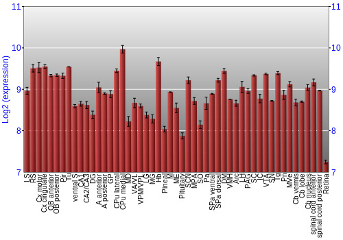 Expression graph