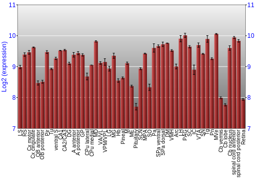 Expression graph