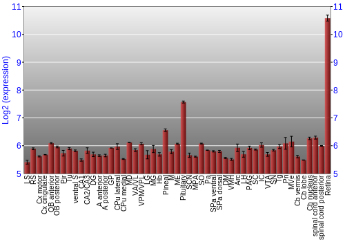 Expression graph