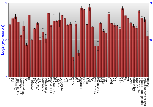 Expression graph