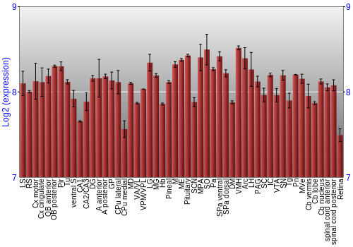 Expression graph