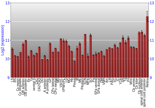 Expression graph